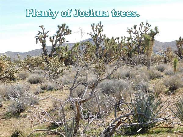 1 Acre of Land for Sale in Dolan Springs, Arizona