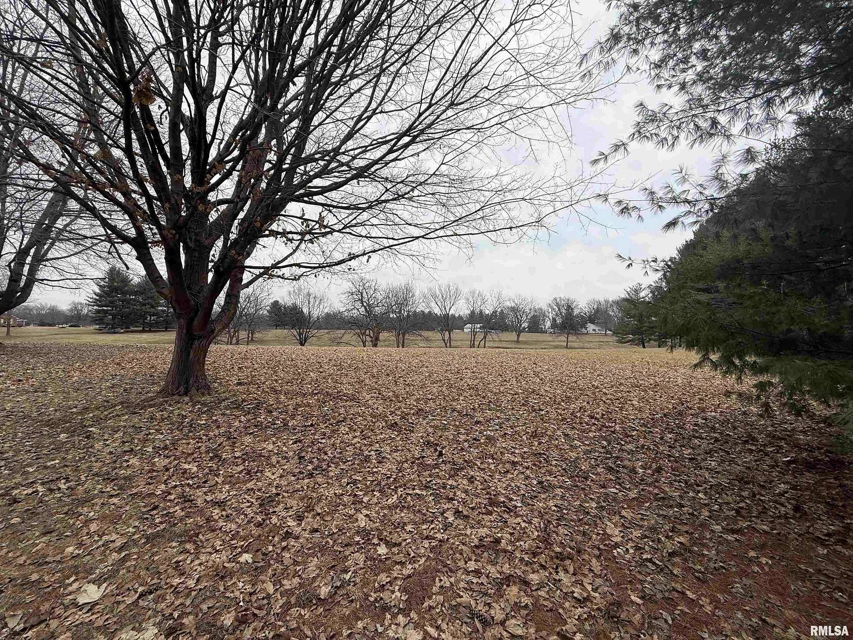 8.23 Acres of Residential Land for Sale in Springfield, Illinois