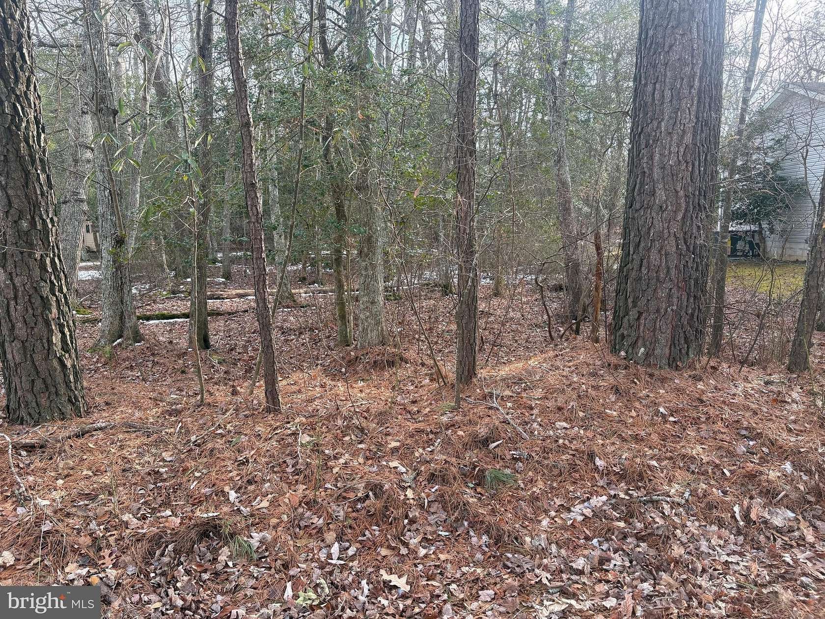 0.22 Acres of Residential Land for Sale in Ocean Pines, Maryland