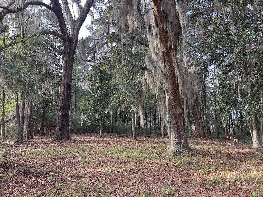 1.3 Acres of Residential Land for Sale in Savannah, Georgia