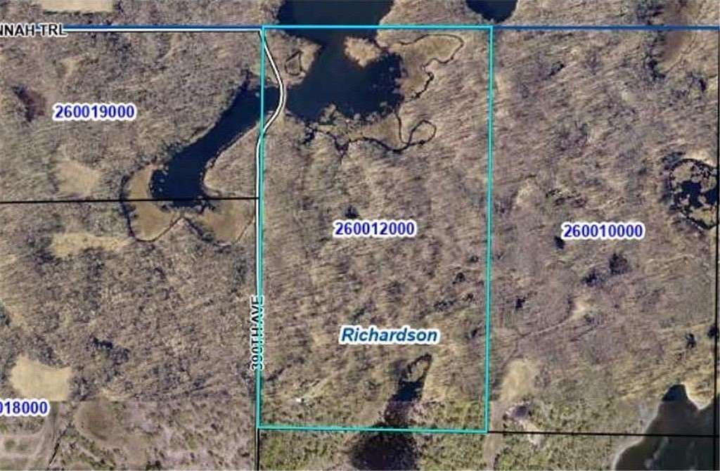 67.9 Acres of Recreational Land for Sale in Hillman, Minnesota