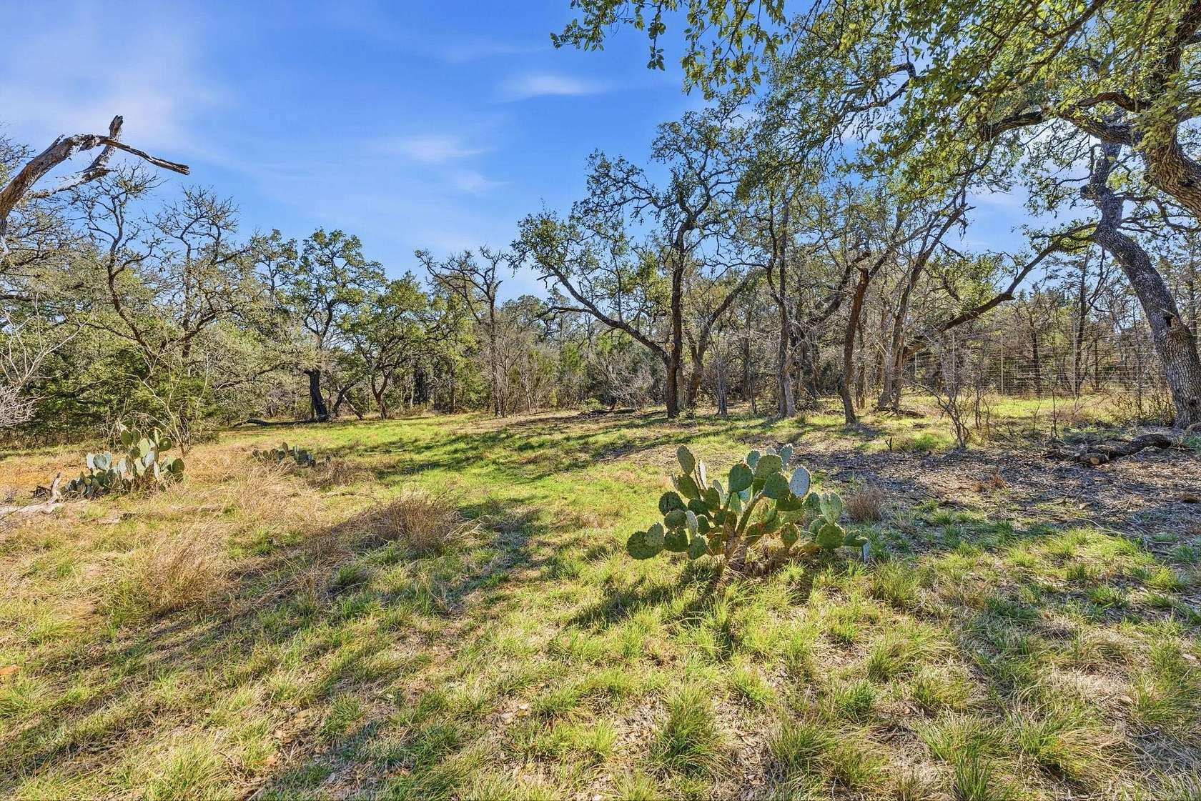 7.26 Acres of Residential Land for Sale in Buda, Texas
