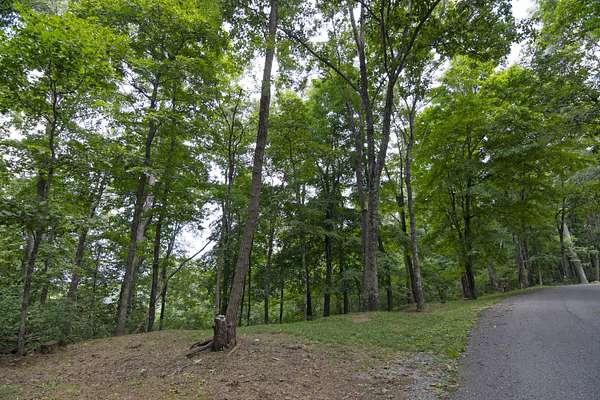 2.24 Acres of Residential Land for Sale in Caldwell, West Virginia