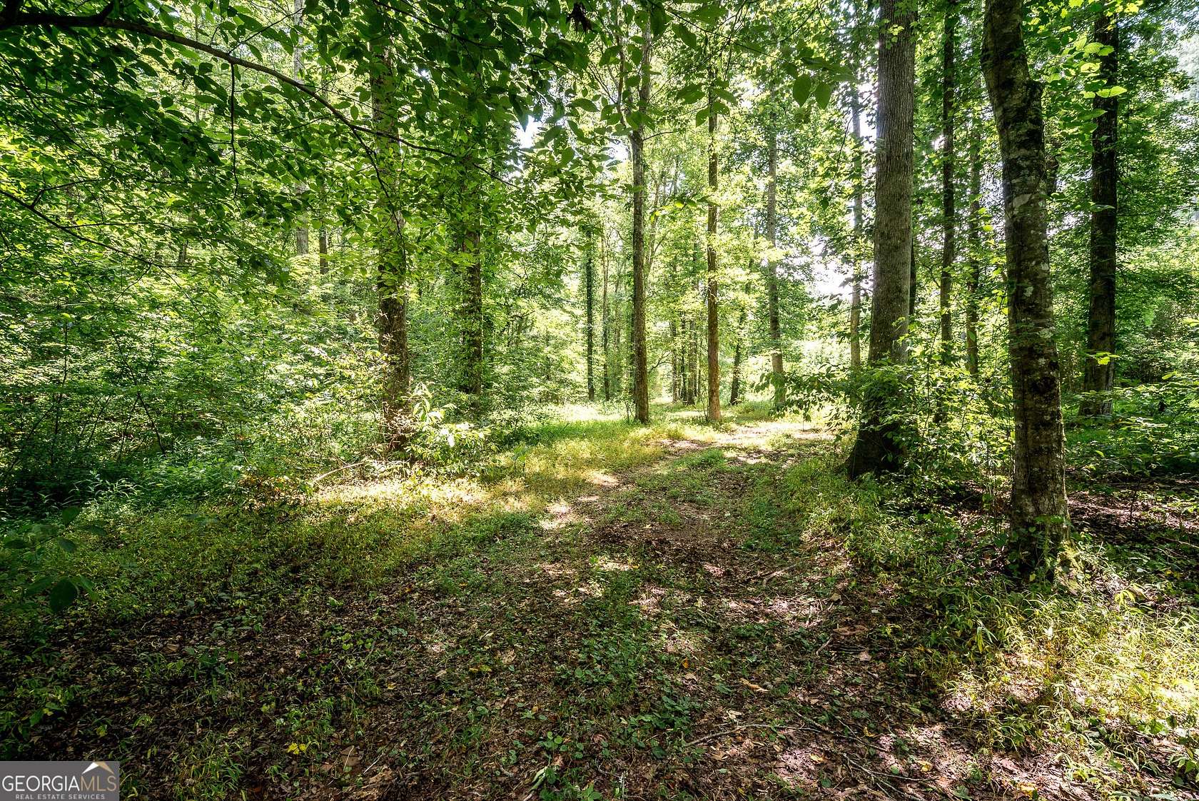 20 Acres of Recreational & Residential Land for Sale in Newnan, Georgia