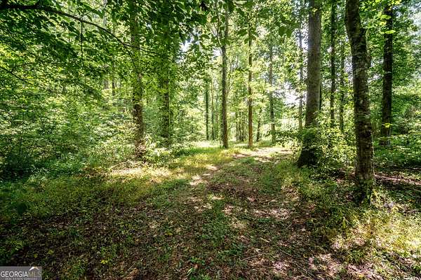 20 Acres of Recreational & Residential Land for Sale in Newnan, Georgia