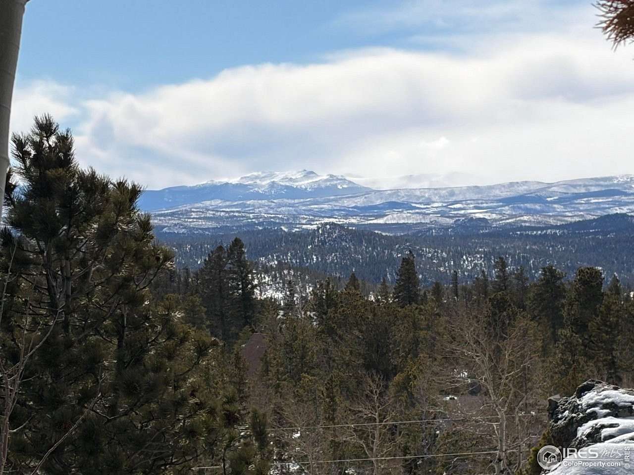 2.39 Acres of Residential Land for Sale in Red Feather Lakes, Colorado