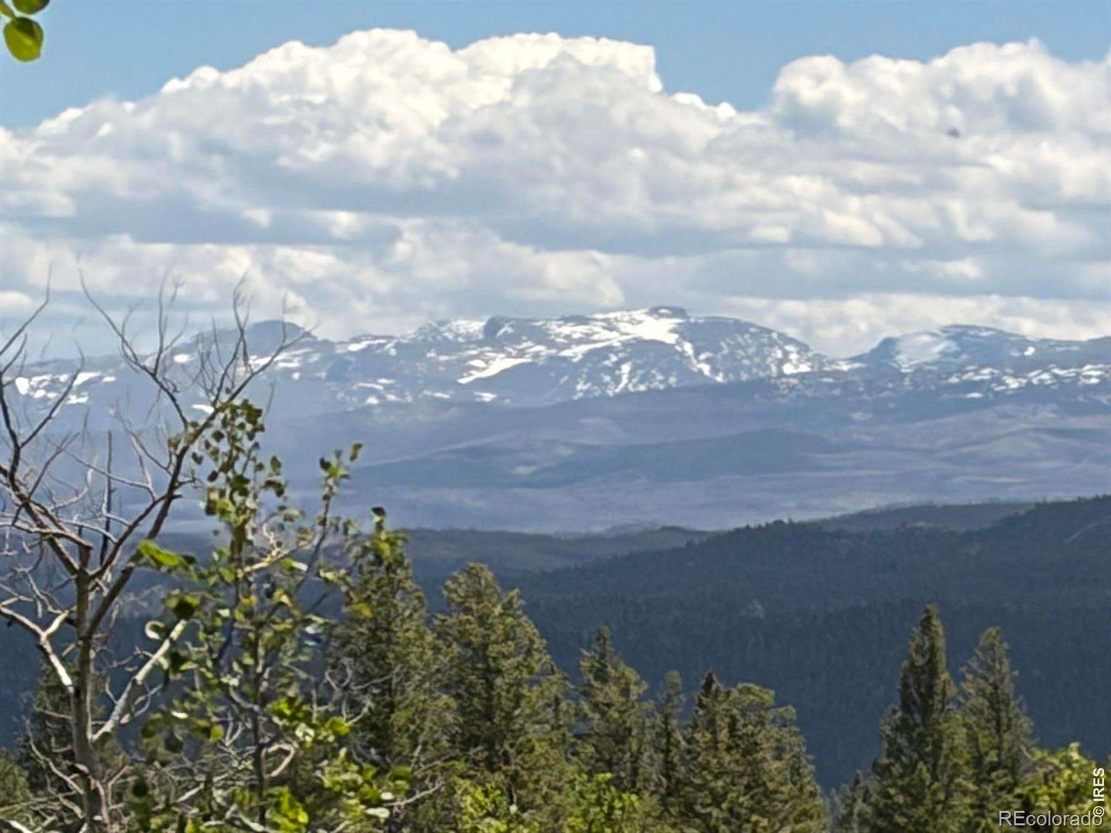 2.39 Acres of Residential Land for Sale in Red Feather Lakes, Colorado