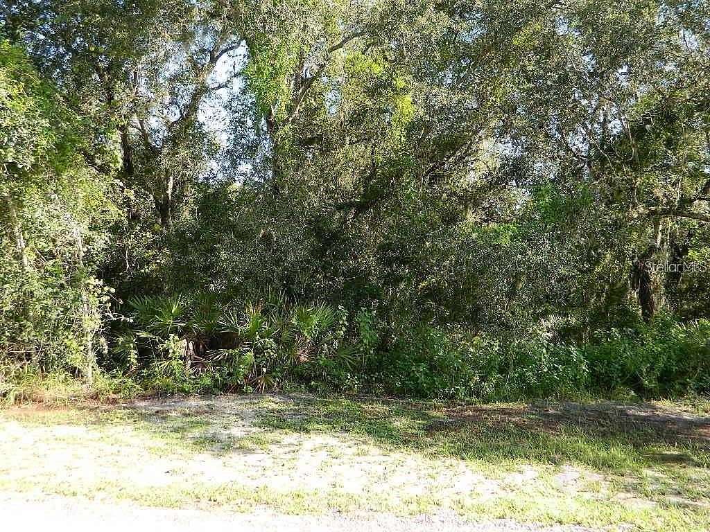 0.5 Acres of Residential Land for Sale in Arcadia, Florida