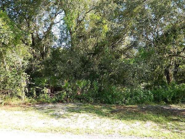 0.5 Acres of Residential Land for Sale in Arcadia, Florida