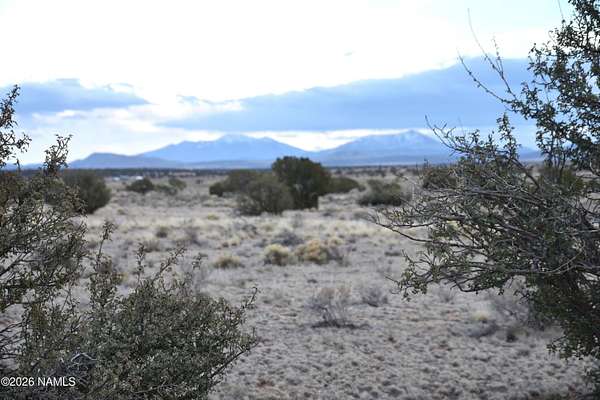10 Acres of Land for Sale in Valle, Arizona