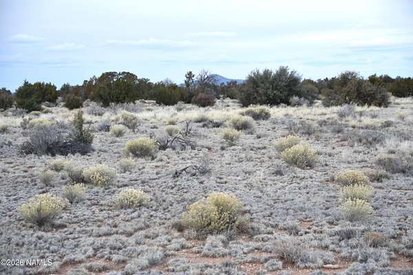 10 Acres of Land for Sale in Valle, Arizona