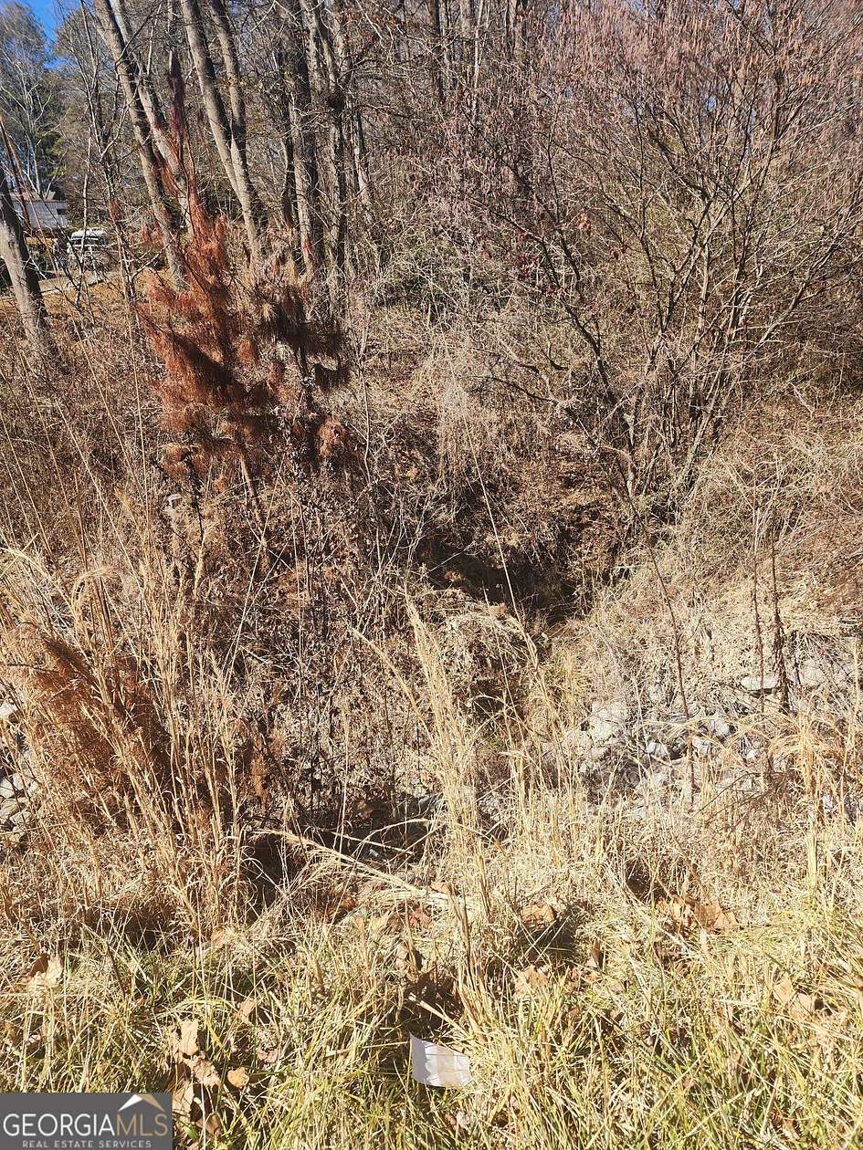 1.75 Acres of Commercial Land for Sale in Buford, Georgia