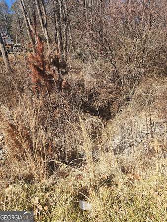 1.75 Acres of Commercial Land for Sale in Buford, Georgia