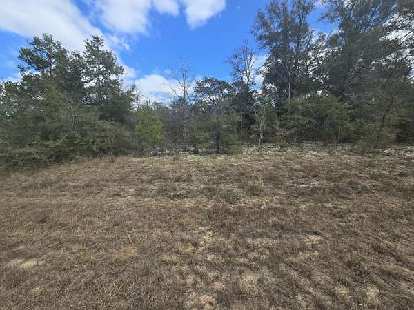 0.26 Acres of Residential Land for Sale in Chipley, Florida