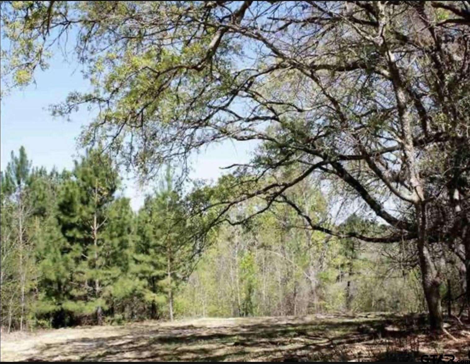 6.8 Acres of Residential Land for Sale in Whitehouse, Texas