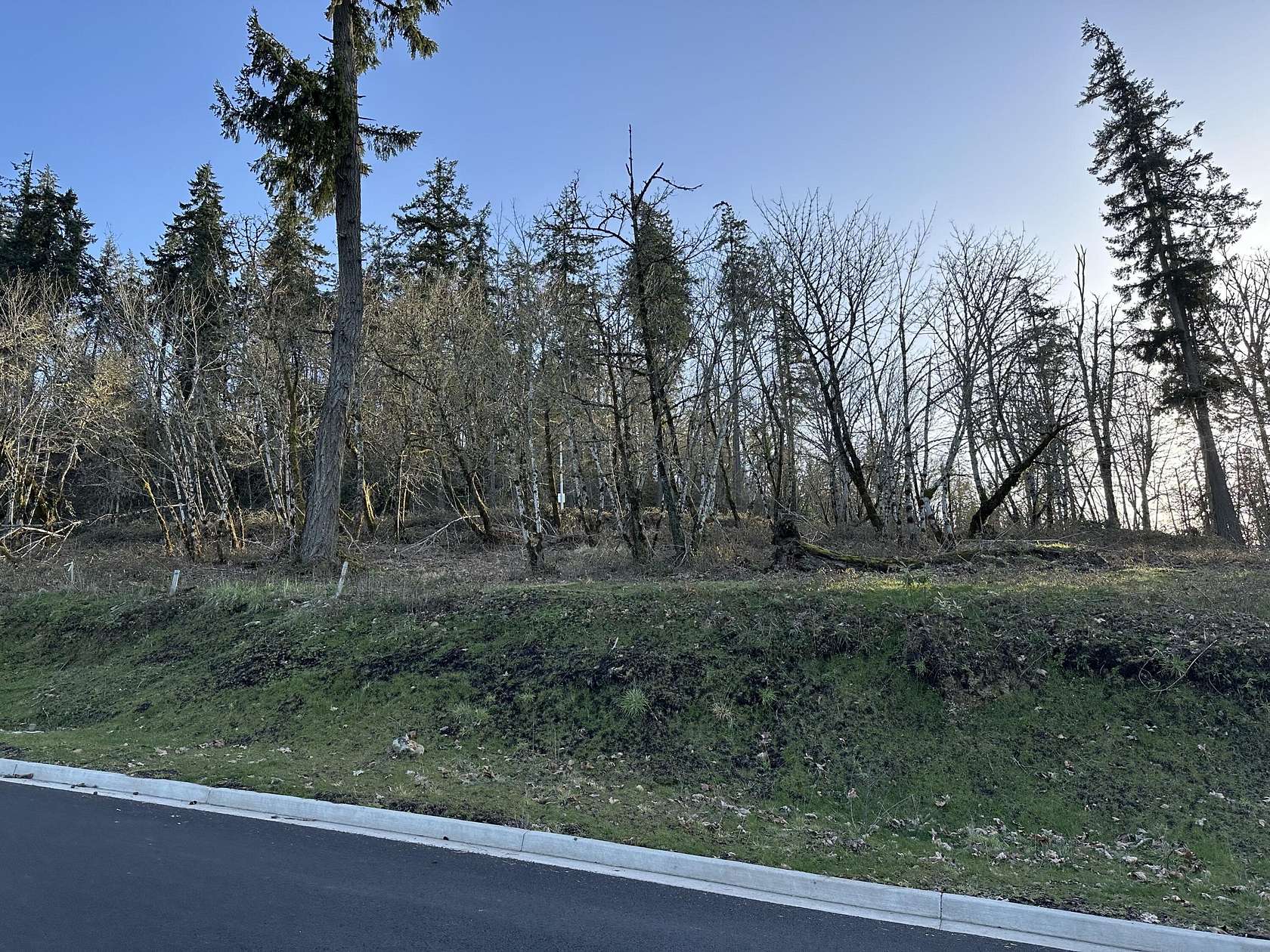 0.28 Acres of Residential Land for Sale in Eugene, Oregon