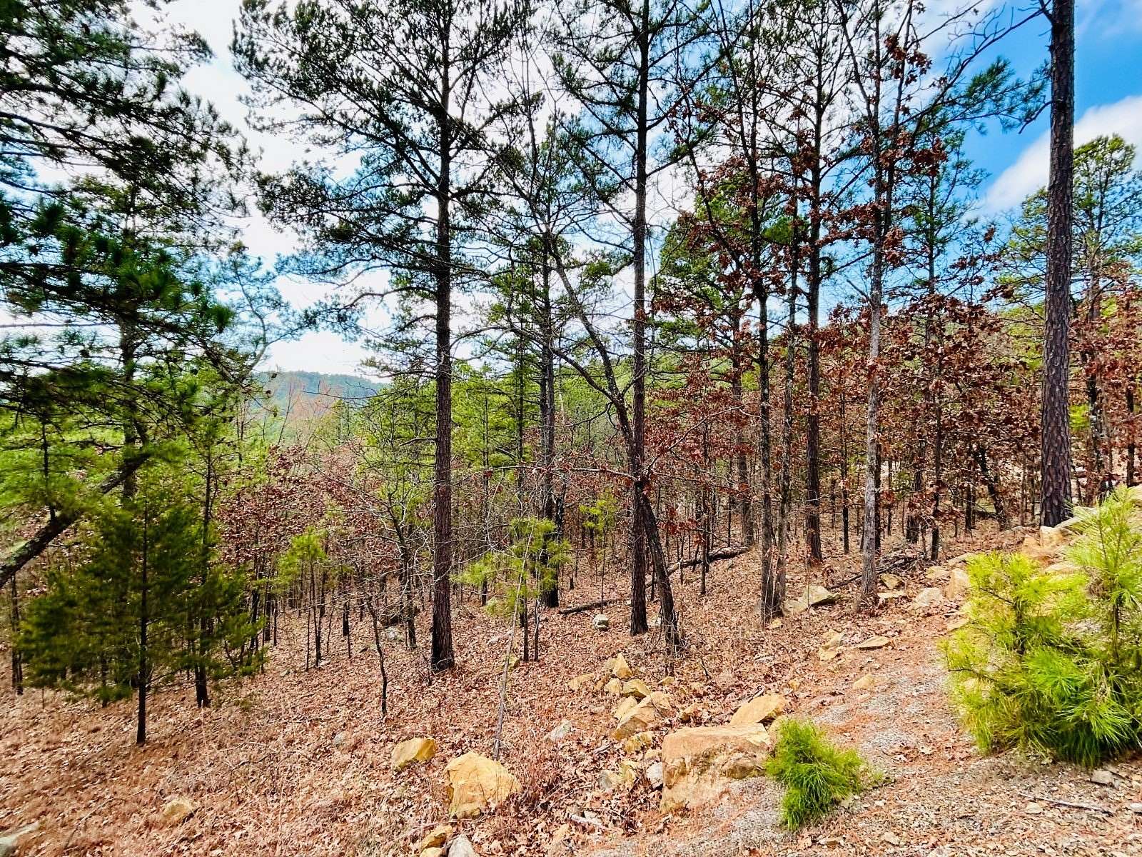 4 Acres of Residential Land for Sale in Tuskahoma, Oklahoma