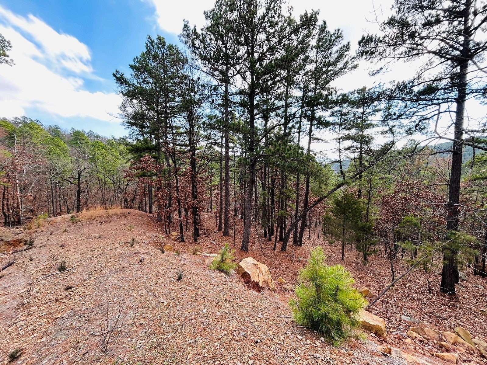 4 Acres of Residential Land for Sale in Tuskahoma, Oklahoma