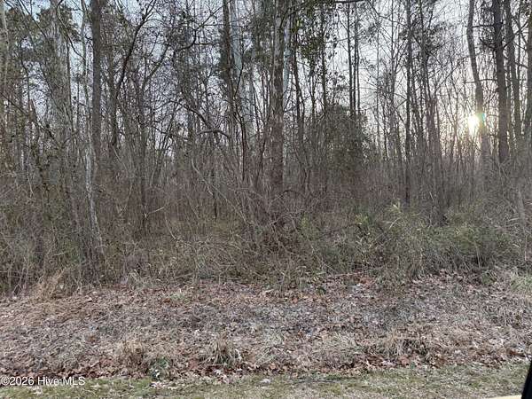 5.55 Acres of Residential Land for Sale in Roper, North Carolina