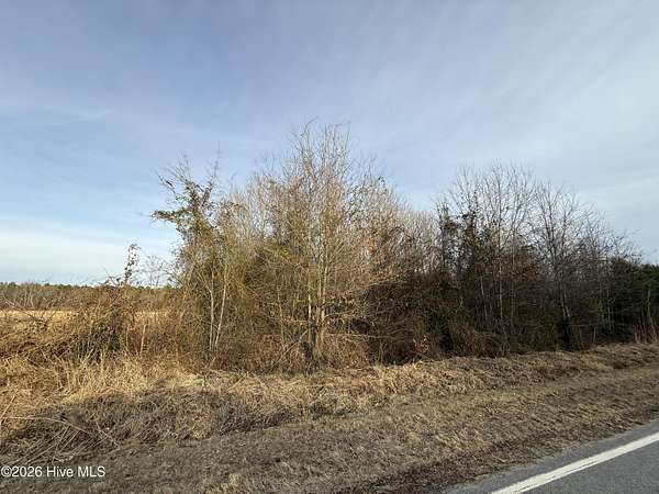 9.1 Acres of Residential Land for Sale in Roper, North Carolina
