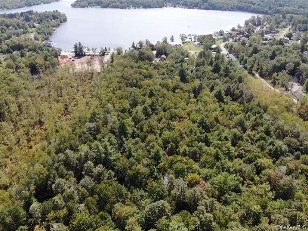 10.6 Acres of Land for Sale in Kauneonga Lake, New York