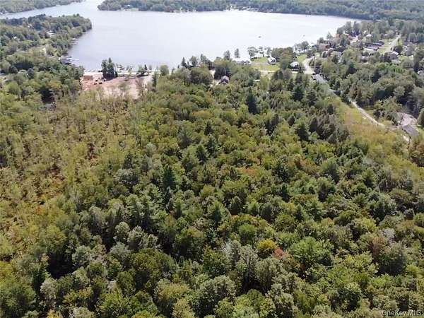 10.6 Acres of Land for Sale in Kauneonga Lake, New York