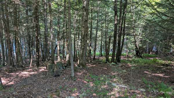 1.32 Acres of Land for Sale in Garland, Maine