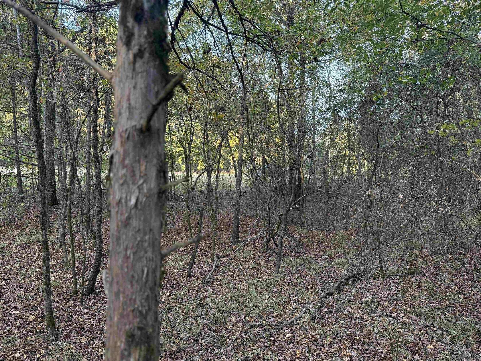 0.3 Acres of Residential Land for Sale in Bald Knob, Arkansas