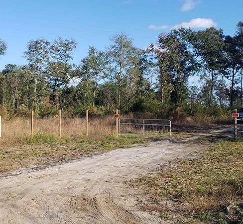 98 Acres of Agricultural Land for Sale in Galivants Ferry, South Carolina