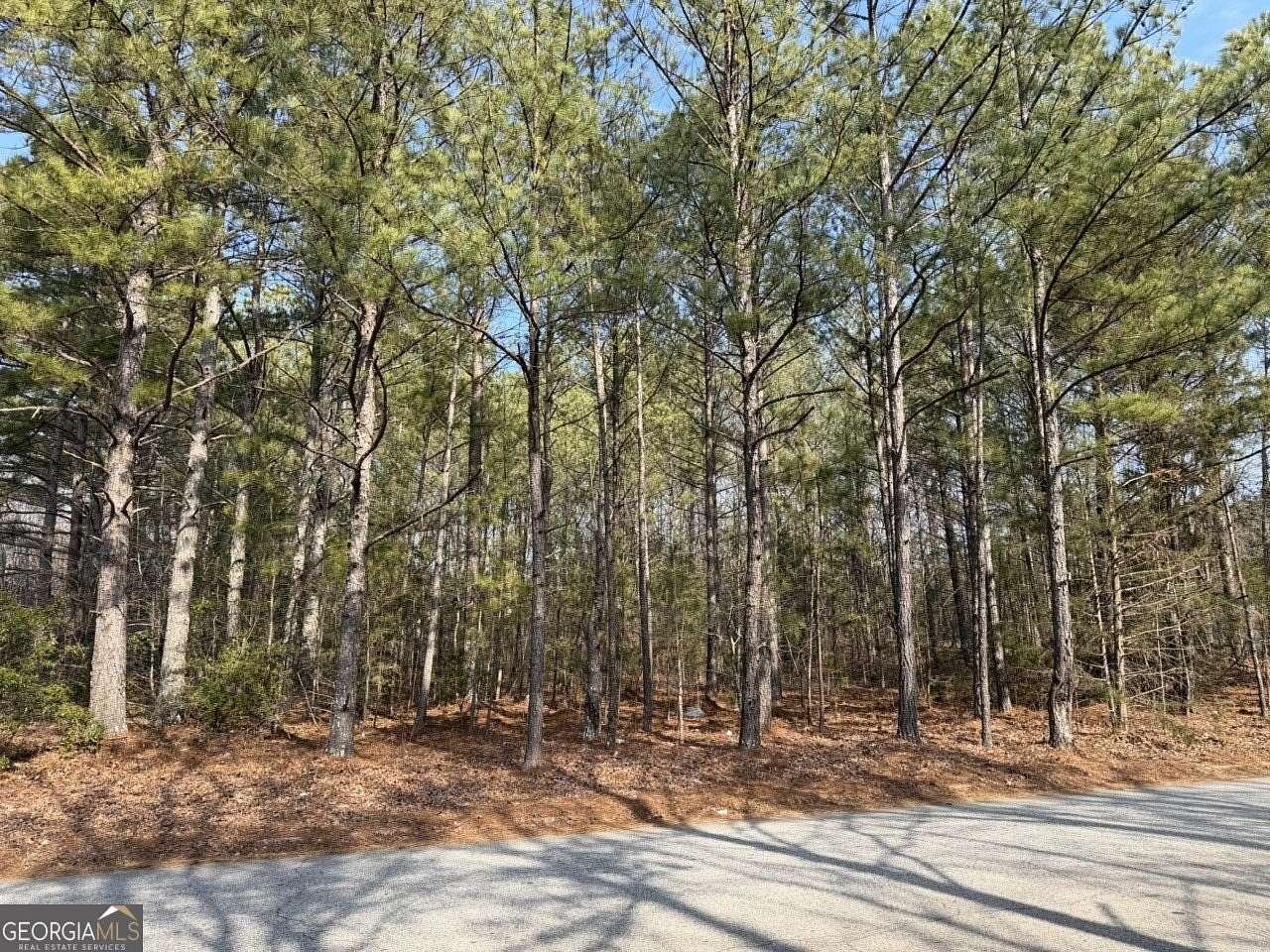 0.9 Acres of Commercial Land for Sale in Fayetteville, Georgia