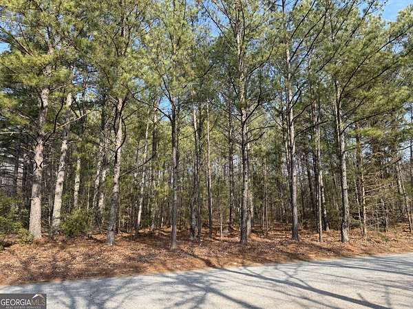 0.9 Acres of Commercial Land for Sale in Fayetteville, Georgia