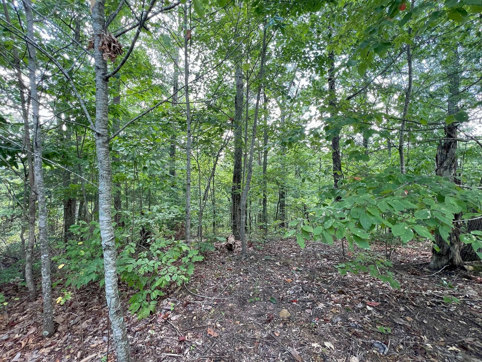 2.26 Acres of Residential Land for Sale in Bean Station, Tennessee