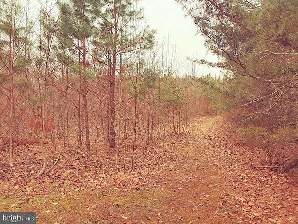 5.14 Acres of Residential Land for Sale in Mechanicsville, Maryland