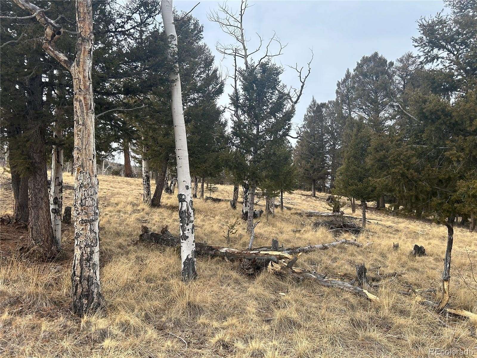 2.5 Acres of Residential Land for Sale in Hartsel, Colorado