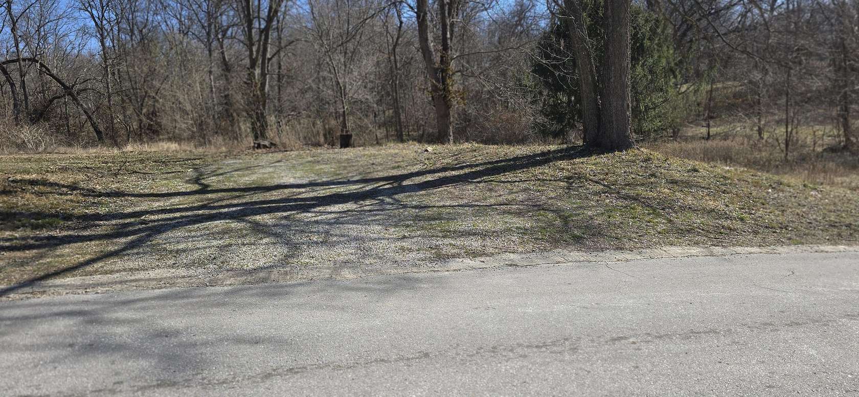 0.43 Acres of Land for Sale in Ozark, Missouri