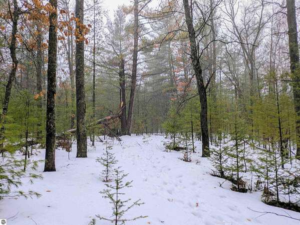 2.35 Acres of Land for Sale in Alger, Michigan