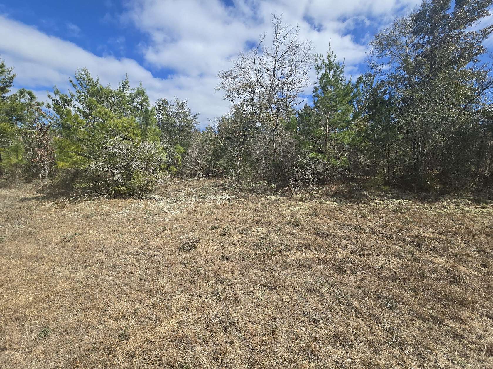 0.29 Acres of Residential Land for Sale in Chipley, Florida