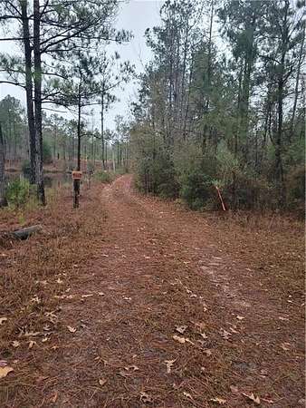 16.2 Acres of Recreational & Residential Land for Sale in Auburn, Alabama