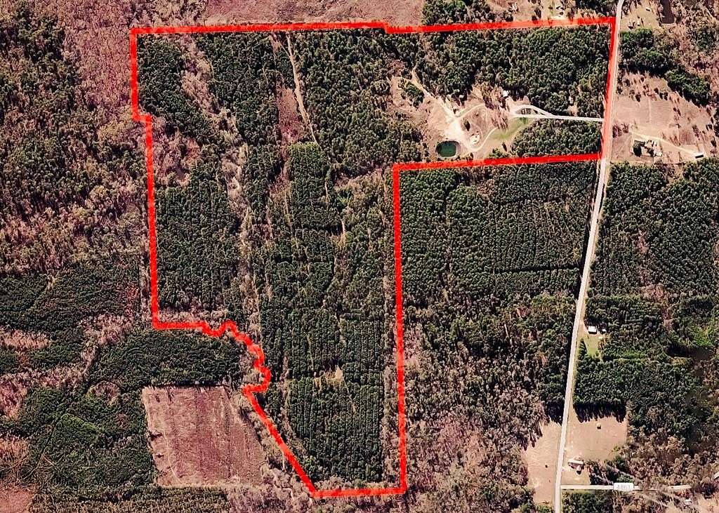 184 Acres of Land for Sale in Timpson, Texas