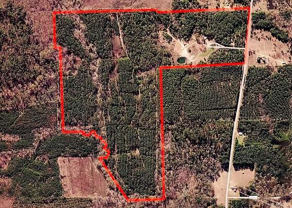 184 Acres of Land for Sale in Timpson, Texas