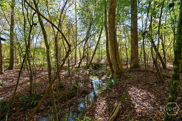 60 Acres of Recreational & Residential Land for Sale in Carlton, Georgia