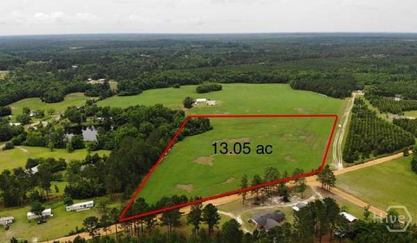 13 Acres of Recreational Land for Sale in Sylvania, Georgia