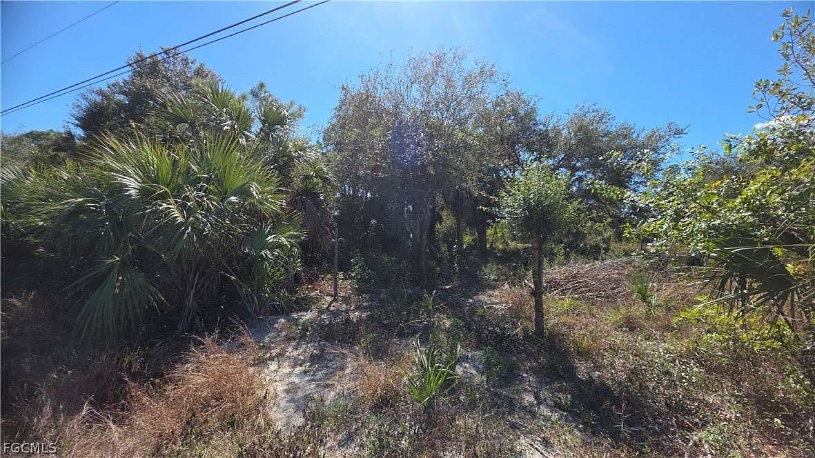 0.31 Acres of Residential Land for Sale in Lehigh Acres, Florida