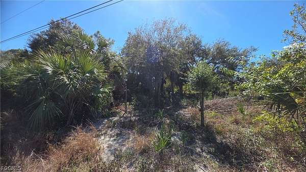 0.31 Acres of Residential Land for Sale in Lehigh Acres, Florida