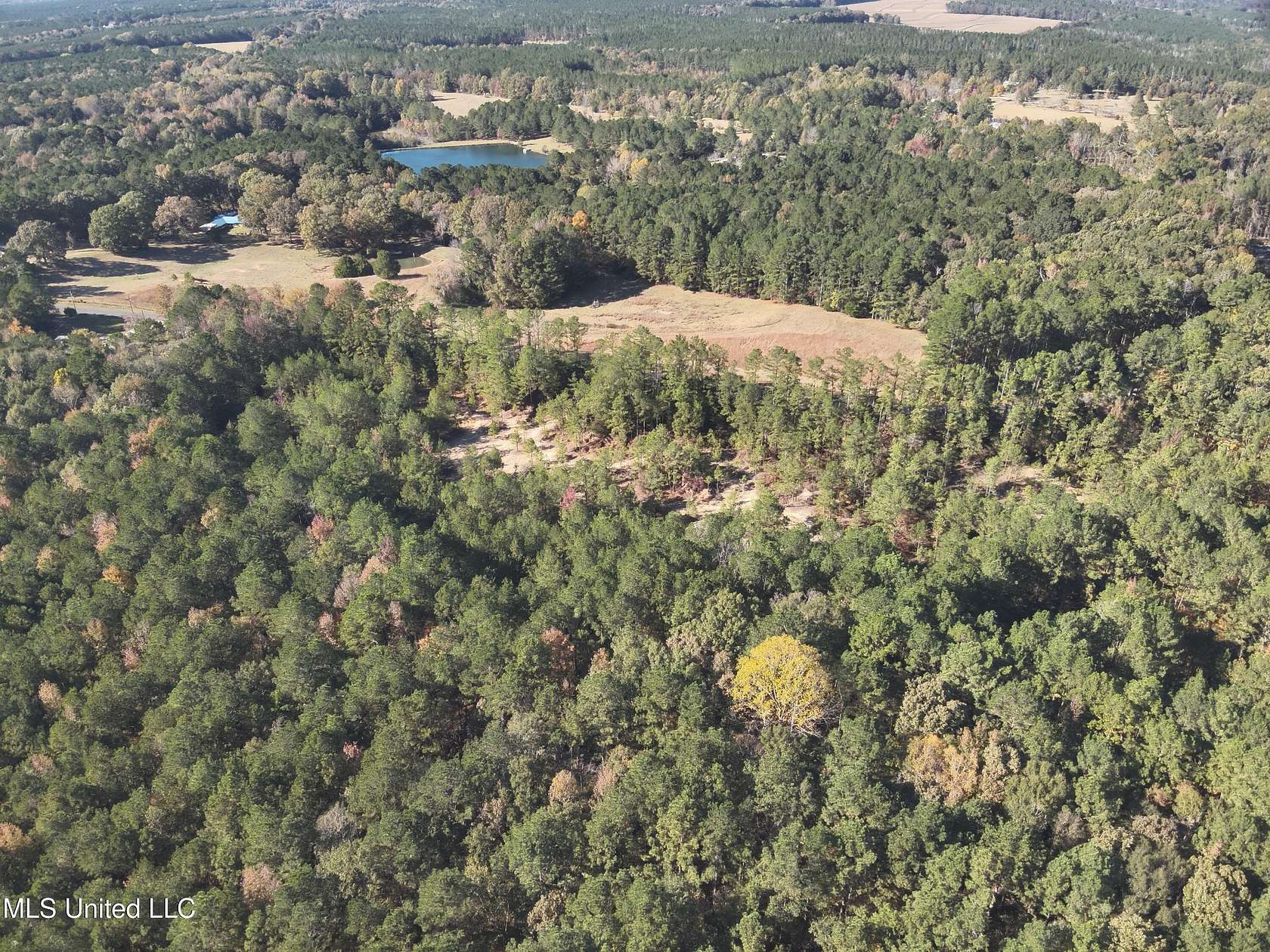 40 Acres of Recreational & Residential Land for Sale in Pelahatchie, Mississippi