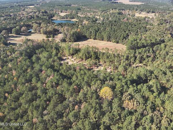 40 Acres of Recreational & Residential Land for Sale in Pelahatchie, Mississippi