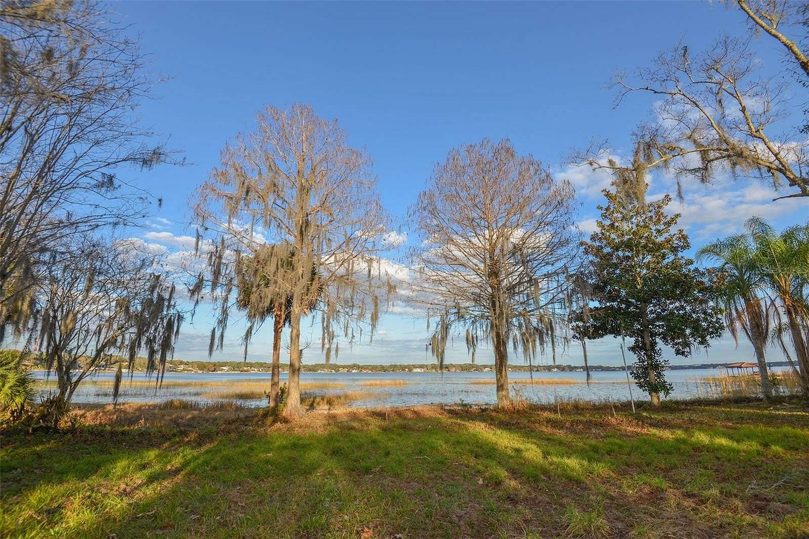 2.79 Acres of Residential Land for Sale in Windermere, Florida