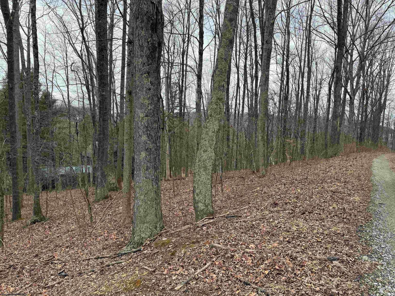 1.37 Acres of Residential Land for Sale in Belington, West Virginia