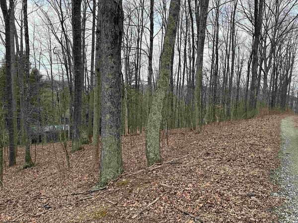 1.37 Acres of Residential Land for Sale in Belington, West Virginia