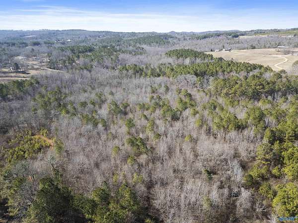 24 Acres of Land for Sale in Gadsden, Alabama